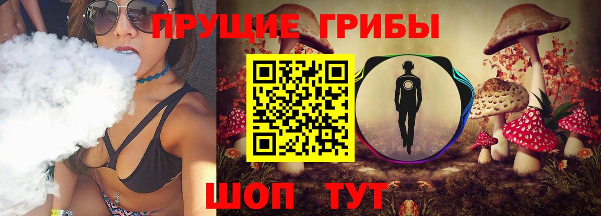 Псилоцибиновые грибы прущие грибы  Псилоцибиновые грибы прущие грибы  Вход с VPN  Пугачёв 